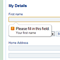 A screenshot of part of the entry form showing HTML5 form validation.