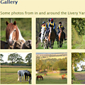 A screenshot of the Oxenfoord Livery Yard photo gallery.